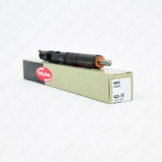 Kia Pregio 2.9 CRDI 10/2003 Onwards New Delphi Diesel Injector R03001D